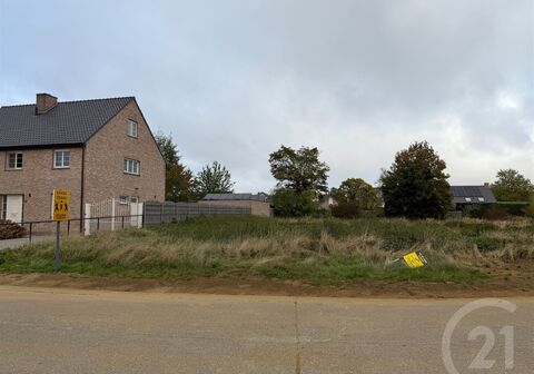 Bouwgrond te koop in Westerlo
