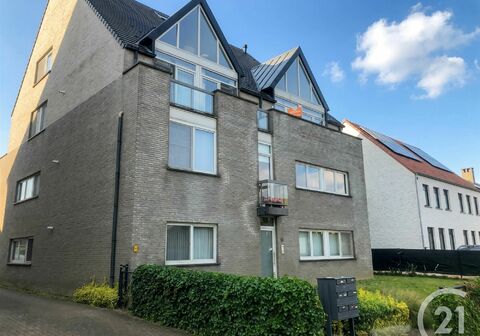 Duplex te huur in Zandhoven