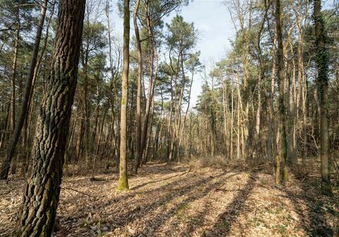 Huis te koop in Aarschot
