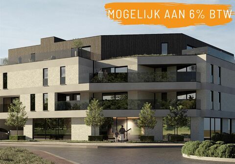 Individuele handelszaak te koop in Begijnendijk