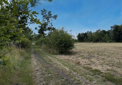 Landbouwgrond te koop in Heist-op-den-Berg Schriek
