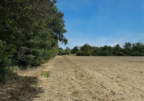 Landbouwgrond te koop in Heist-op-den-Berg Schriek