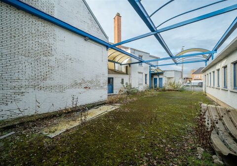 Projectgrond te koop in ROTSELAAR