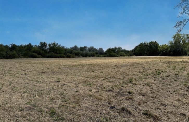 Landbouwgrond te koop in Heist-op-den-Berg Schriek